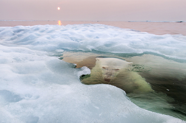 (c) Paul Souders / National Geographic Photo Contest 2013