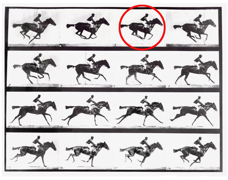 A curiosidade humana e o progresso da fotografia